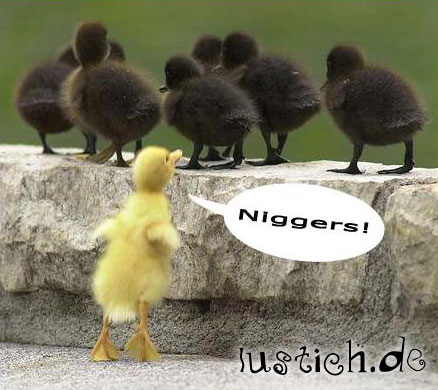 rassistischeskueken.jpg rassistischeskueken.jpg